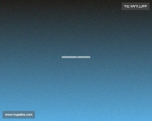 静易墨分析:绿军后场升级 霍勒迪效率领先斯玛特 静易墨分析:绿军后场升级 霍勒迪效率领先斯玛特